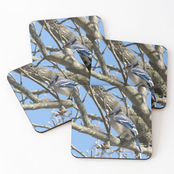 Item preview, Blue Jay designed and sold by aidendale.