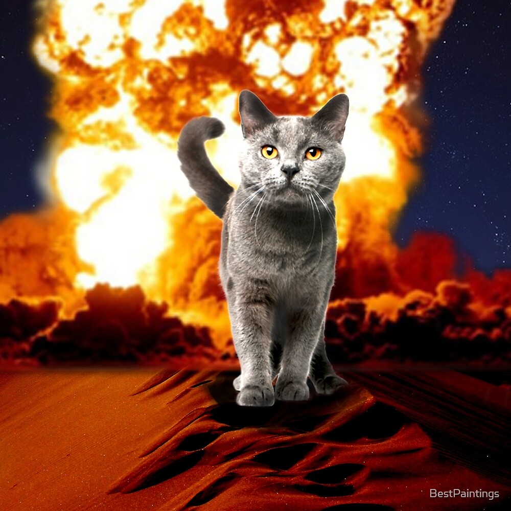 "Cat Explosion Action movie Crazy Art Galaxy Space kitty" by