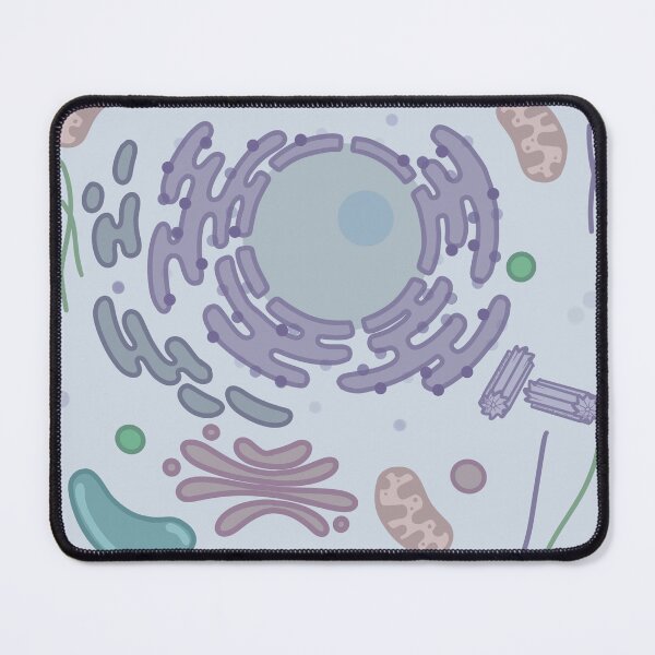 Item preview, Animal Cell designed and sold by Science Lab Designs.