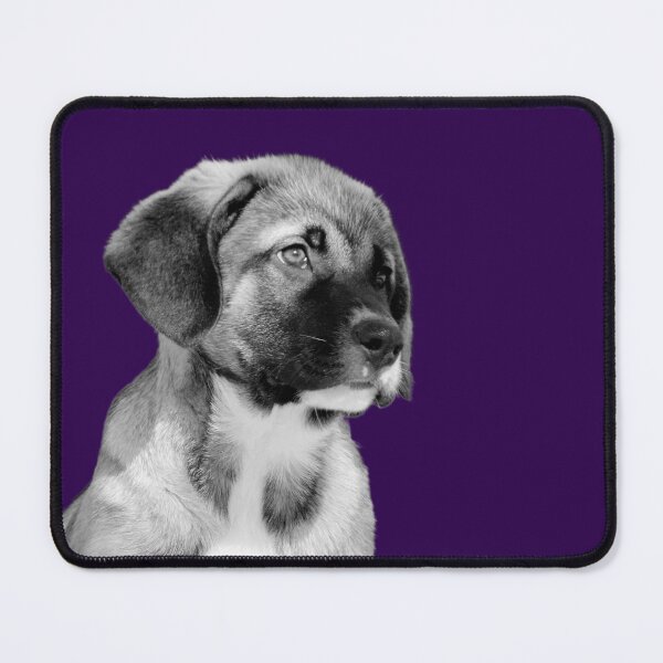 Item preview, Mastin Pup designed and sold by AH Fotography.