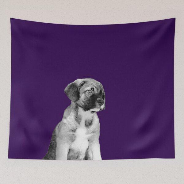 Item preview, Mastin Pup designed and sold by AH Fotography.