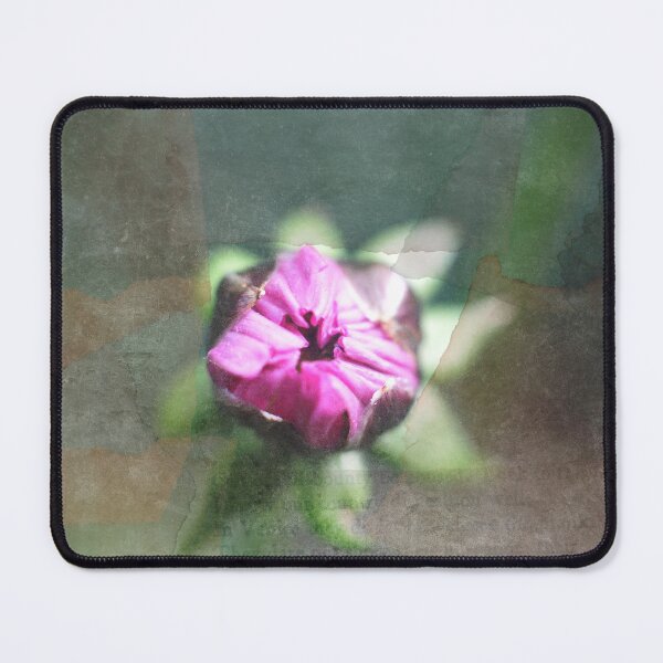 Item preview, Peaceful Emptiness designed and sold by Denise Abé.