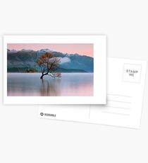 Wanaka sunrise Postcards
