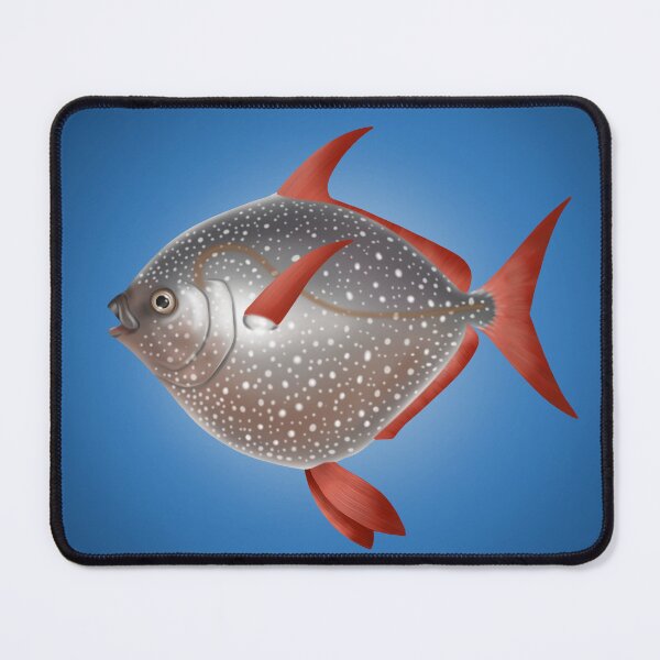 Item preview, Opah designed and sold by Scuba-Div3r.