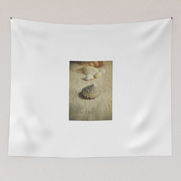 Item preview, Cone Shell. designed and sold by Lyn  Randle.