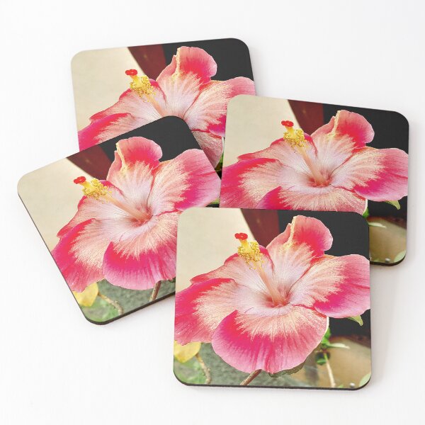 Item preview, Fully bloomed pink-white hibiscus in my garden designed and sold by my-tree.