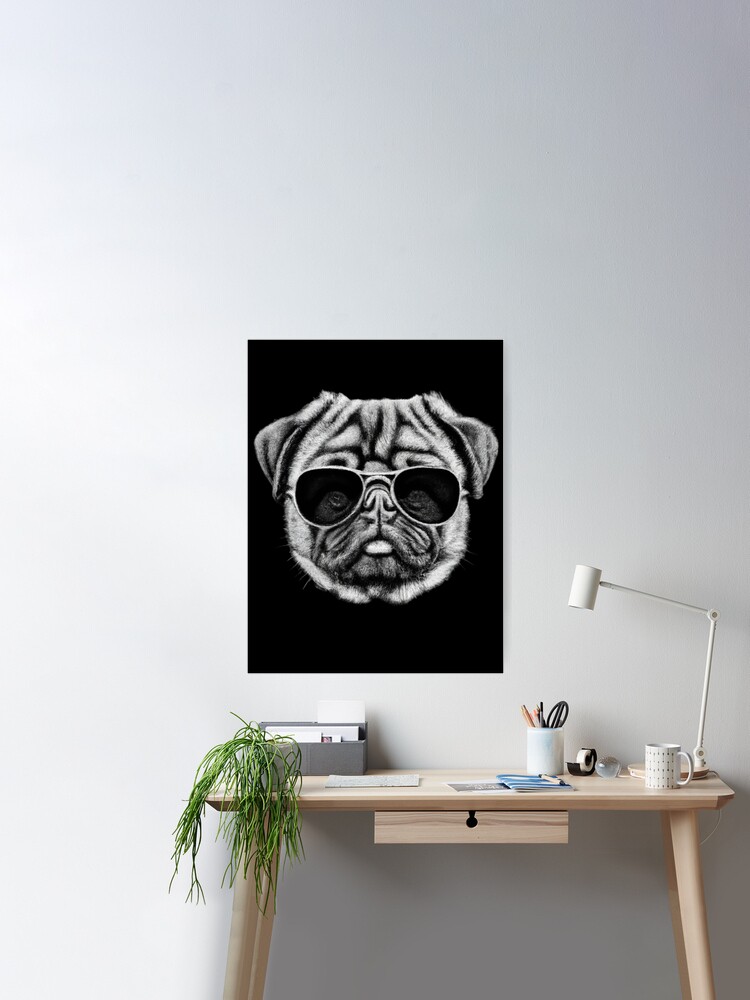 Poster pug with sunglasses. 