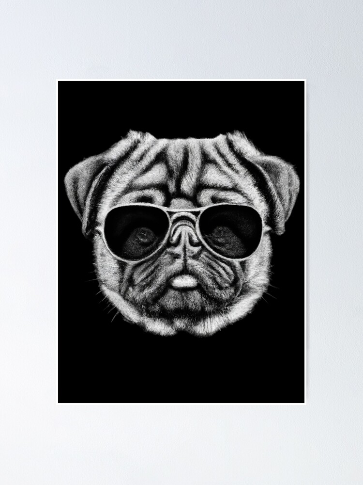 pug with sunglasses. Poster