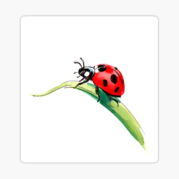 Item preview, Red lady bug designed and sold by AlexBlackSea.