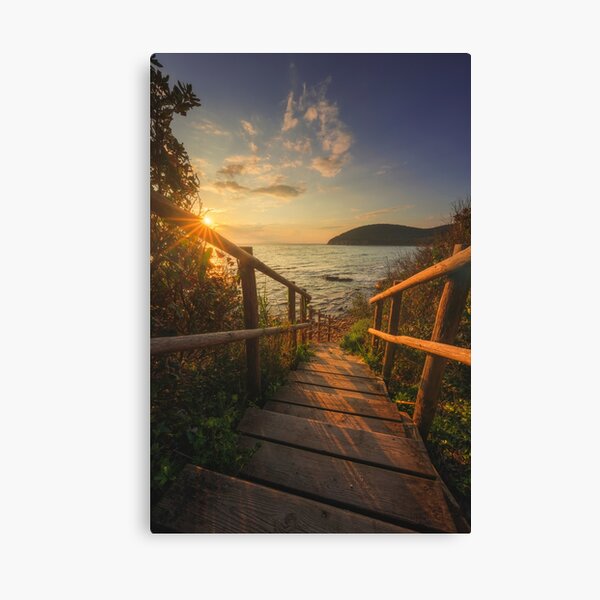 Descent to the sea in Cala Violina beach. Tuscany, Italy Canvas Print