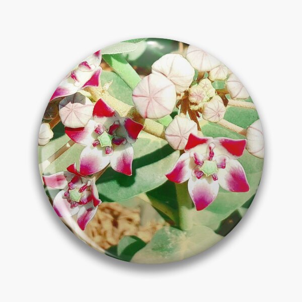 Item preview, Red-white milkweeds in a neighborhood jungle designed and sold by my-tree.