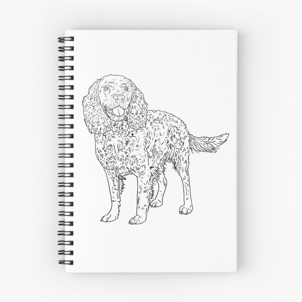 Item preview, American Water Spaniel designed and sold by Olivia Connatser.