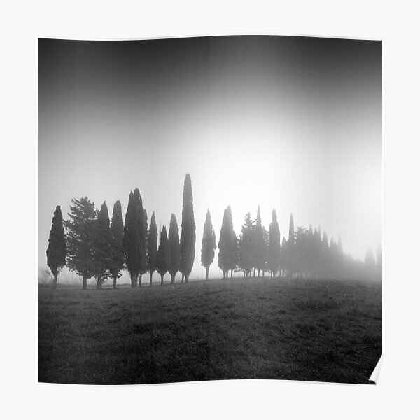We are not all the same. Tuscany Poster