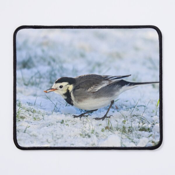 Item preview, Foraging in frost designed and sold by GreyFeatherPhot.