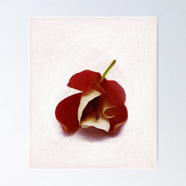 Item preview, Red fuchsia flower on a white background. Created entirely using lines. designed and sold by janesg.