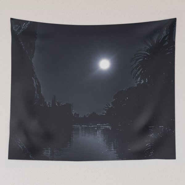 Item preview, The river and the moon photograph designed and sold by Origillus.