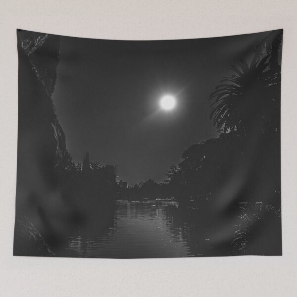 Item preview, The river and the moon photograph designed and sold by Origillus.