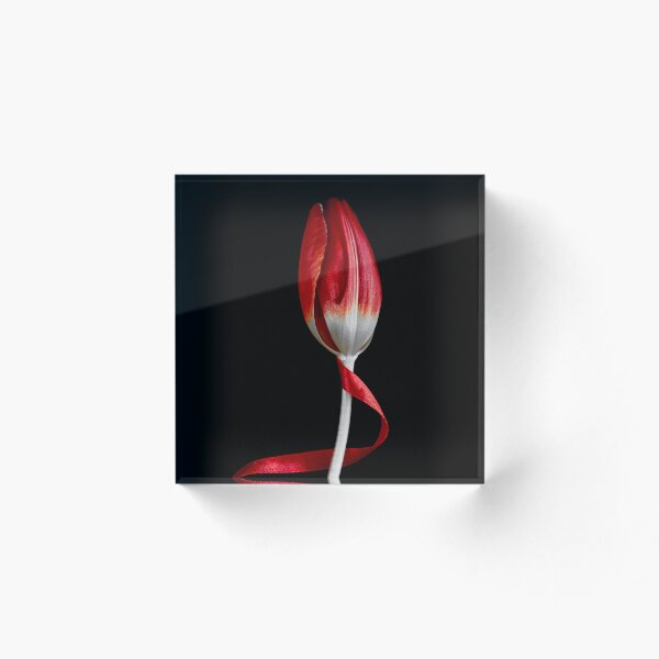 Item preview, Tulipán rojo designed and sold by David Lichtneker.