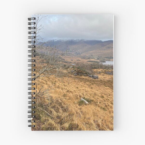 Item preview, Upper Lake near Killarney designed and sold by Sinemathk.