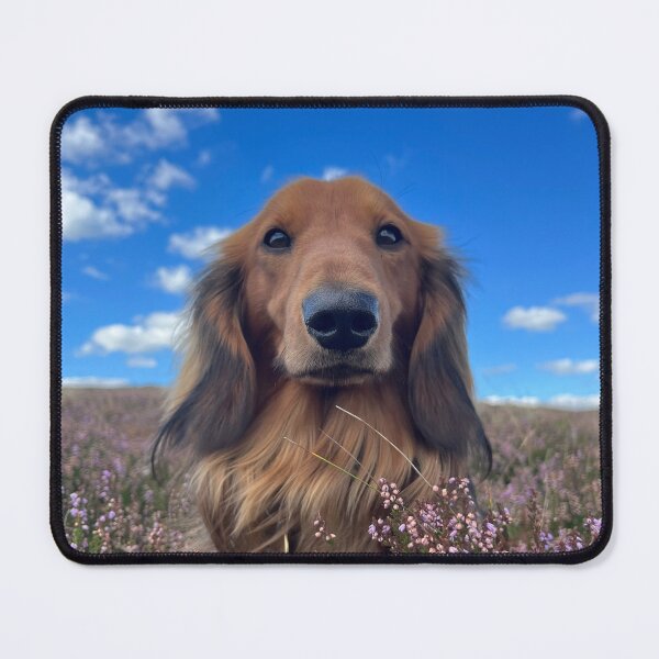 Item preview, Standard Dachshund designed and sold by ScarlettBrooke.