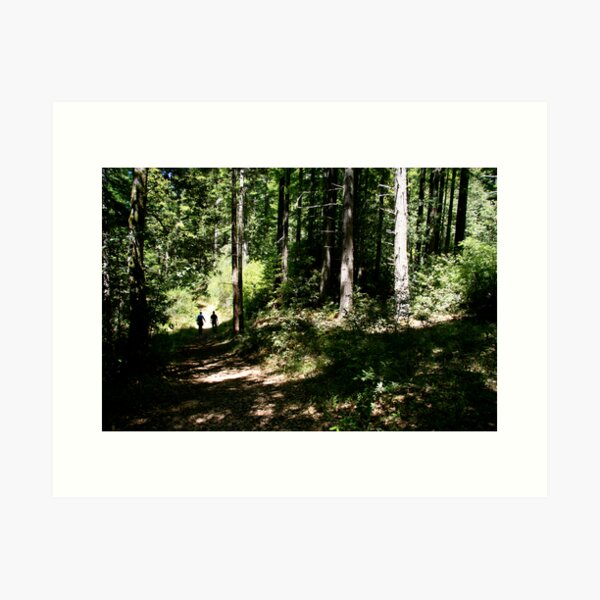 Item preview, forest walk designed and sold by jayview.