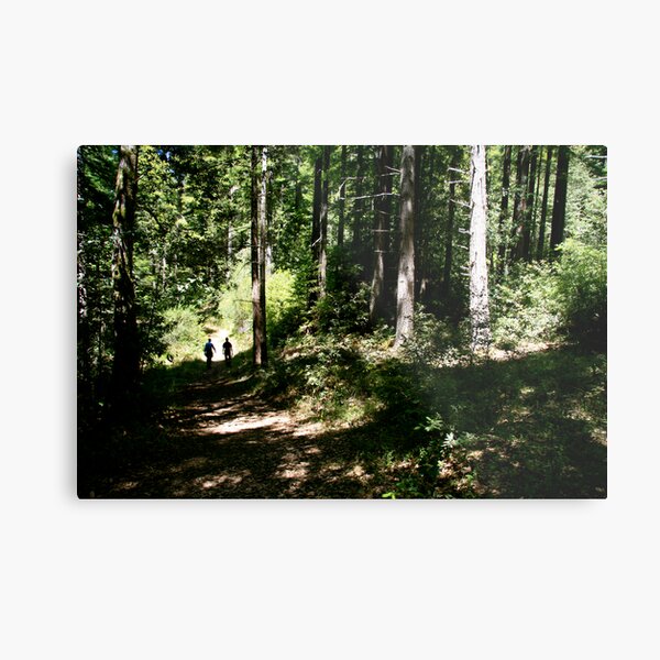 Item preview, forest walk designed and sold by jayview.