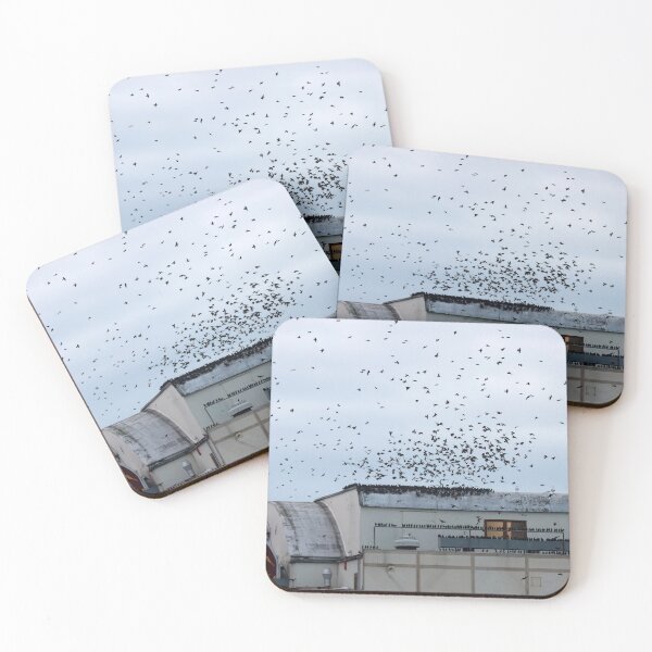 Item preview, Rooftop starlings designed and sold by GreyFeatherPhot.
