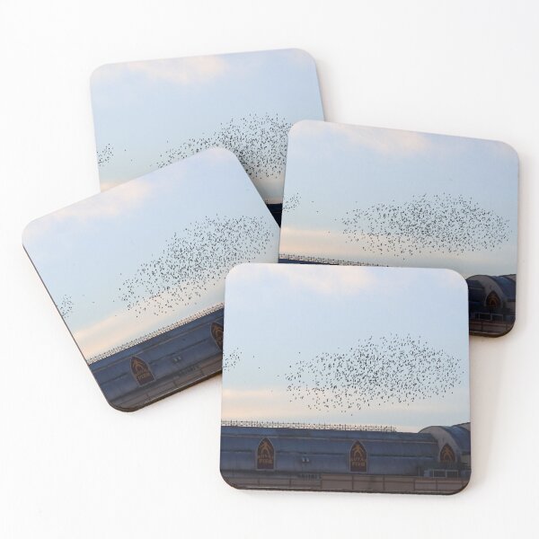 Item preview, Mini murmurations above Aberystwyth's Royal Pier designed and sold by GreyFeatherPhot.