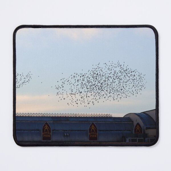 Item preview, Mini murmurations above Aberystwyth's Royal Pier designed and sold by GreyFeatherPhot.