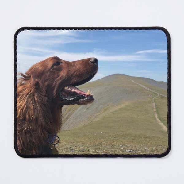Item preview, Red Setter  designed and sold by ScarlettBrooke.
