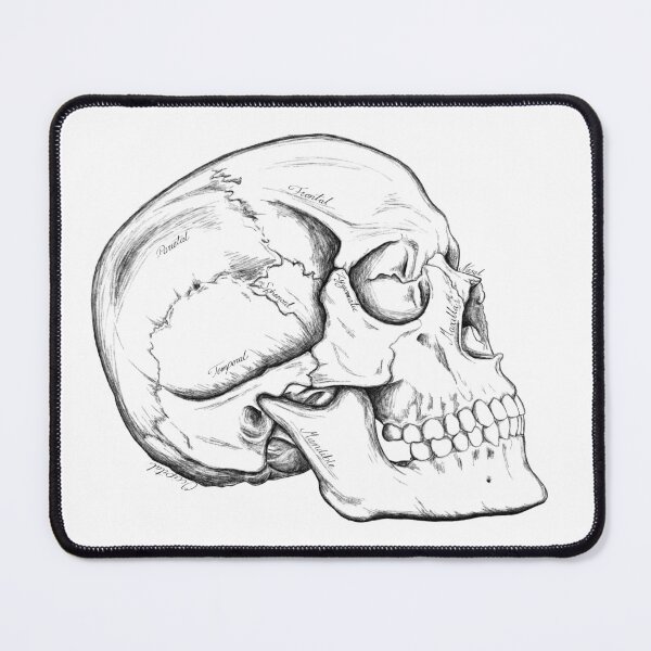 Item preview, Wandering Skull I designed and sold by WanderingGoose.