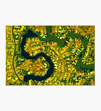Suburbia Photographic Print