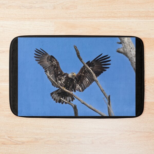 Item preview, Juvenile Bald Eagle Wingspan designed and sold by PsychoAlien.com.