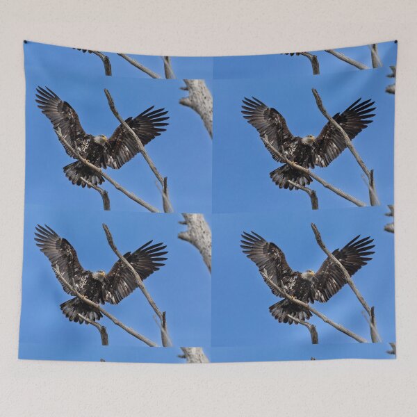 Item preview, Juvenile Bald Eagle Wingspan designed and sold by PsychoAlien.com.