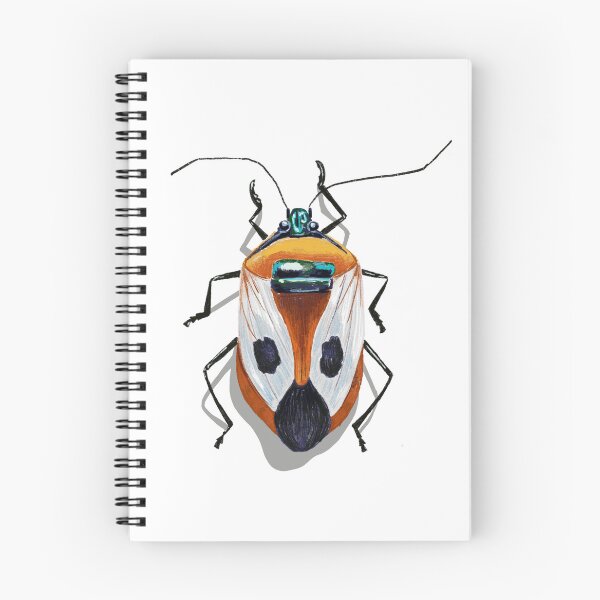 Item preview, Beetle Drawing designed and sold by l-cat.