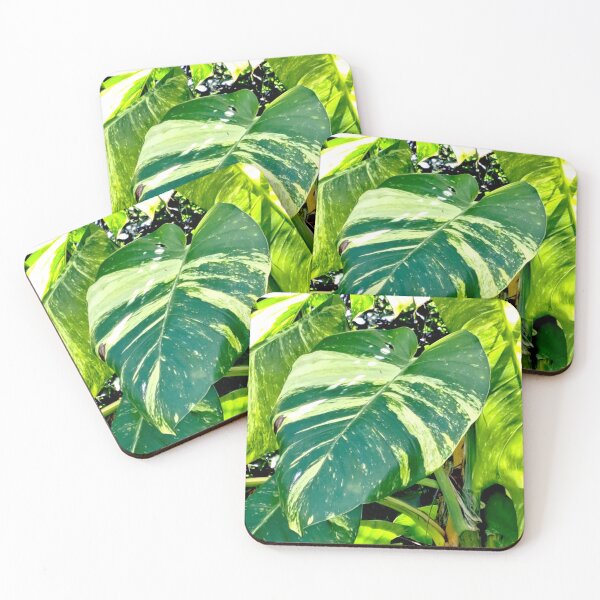 Item preview, Get Up Close and Personal with the Stunning Colors of the Giant Golden Pothos Leaves designed and sold by PhotografeeMrsB.