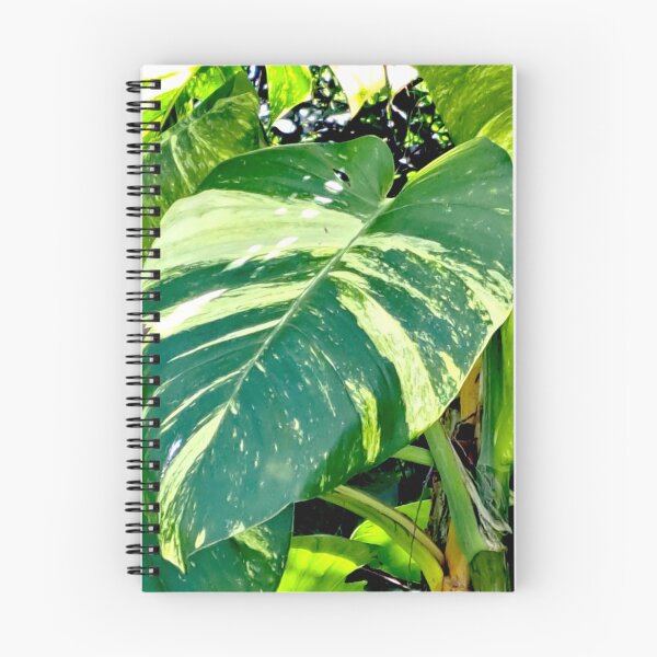 Item preview, Get Up Close and Personal with the Stunning Colors of the Giant Golden Pothos Leaves designed and sold by PhotografeeMrsB.