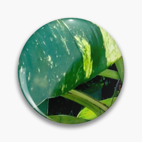 Item preview, Get Up Close and Personal with the Stunning Colors of the Giant Golden Pothos Leaves designed and sold by PhotografeeMrsB.