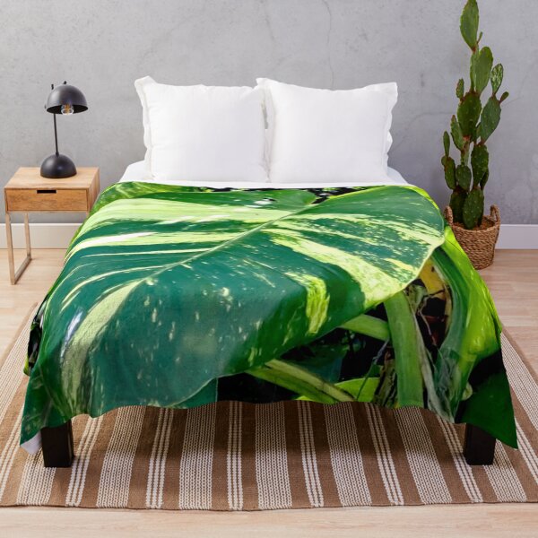 Item preview, Get Up Close and Personal with the Stunning Colors of the Giant Golden Pothos Leaves designed and sold by PhotografeeMrsB.