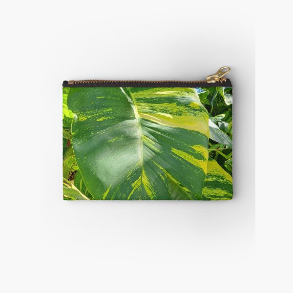 Item preview, Get Up Close and Personal with the Stunning Giant Golden Pothos Leaves designed and sold by PhotografeeMrsB.