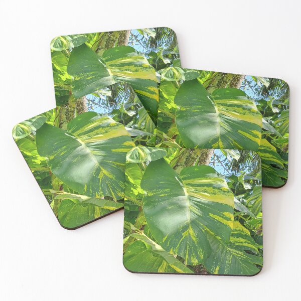Item preview, Get Up Close and Personal with the Stunning Giant Golden Pothos Leaves designed and sold by PhotografeeMrsB.