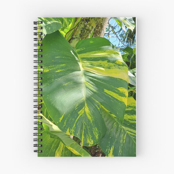 Item preview, Get Up Close and Personal with the Stunning Giant Golden Pothos Leaves designed and sold by PhotografeeMrsB.