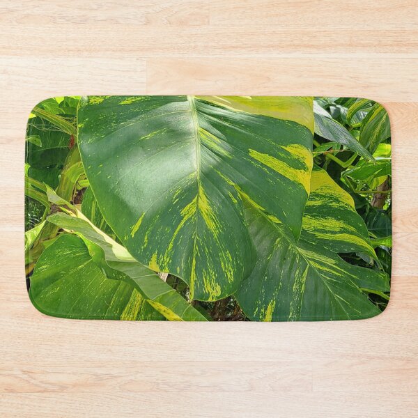 Item preview, Get Up Close and Personal with the Stunning Giant Golden Pothos Leaves designed and sold by PhotografeeMrsB.