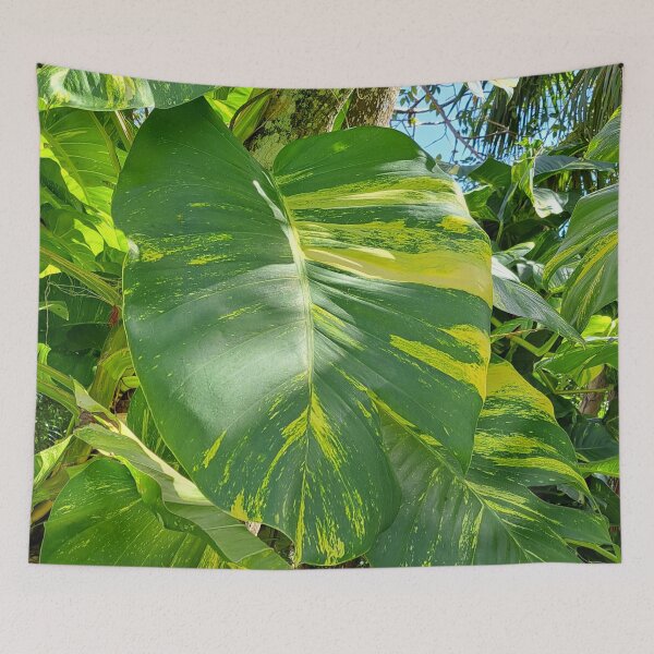 Item preview, Get Up Close and Personal with the Stunning Giant Golden Pothos Leaves designed and sold by PhotografeeMrsB.