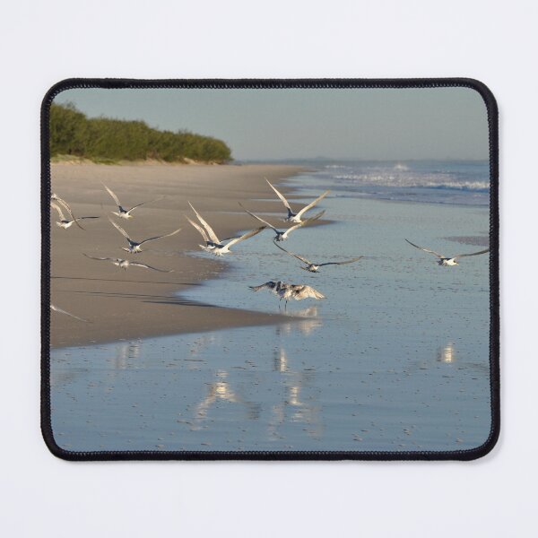 Item preview, Morning Flight - Bribie Island designed and sold by Barbara Burkhardt.