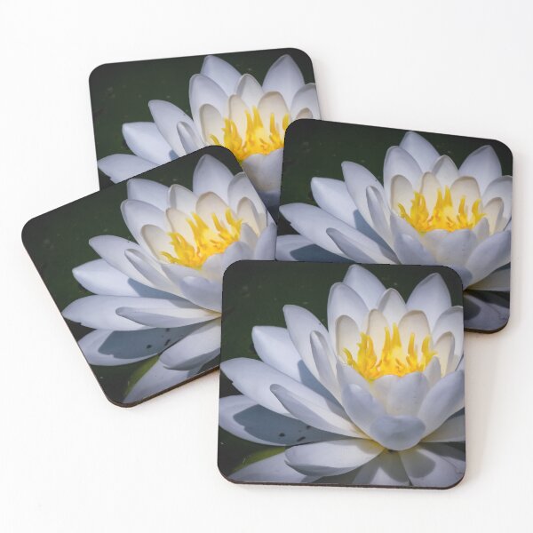 Item preview, Lotus Of Flower by Brandon Cable  designed and sold by BrandonArtWorld.