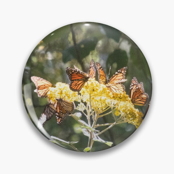 Item preview, Monarch Carousel  designed and sold by Jacquelie.