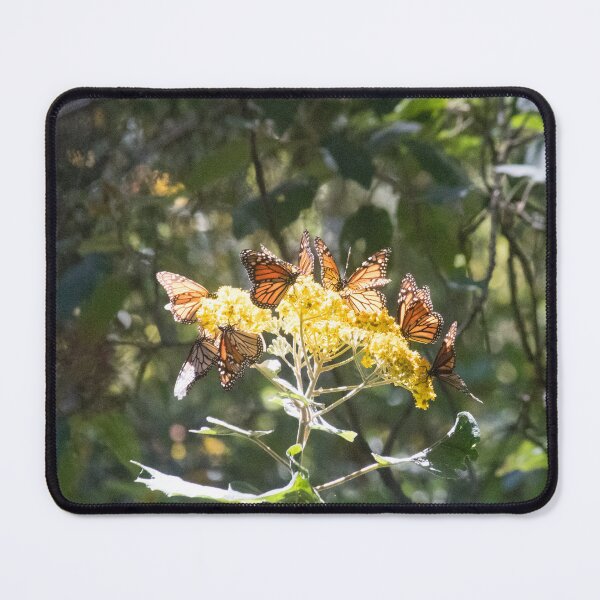 Item preview, Monarch Carousel  designed and sold by Jacquelie.
