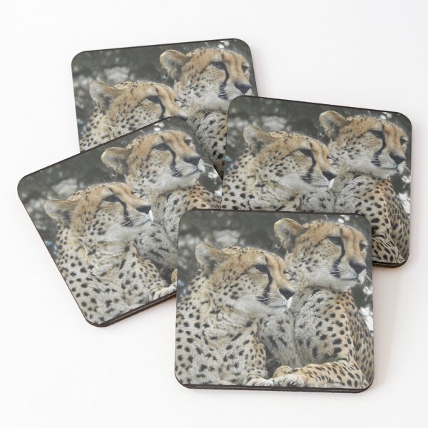 Item preview, Cheetahs  designed and sold by Tlpphotos.