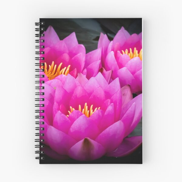 Item preview, Pink Lotus by Brandon Cable  designed and sold by BrandonArtWorld.
